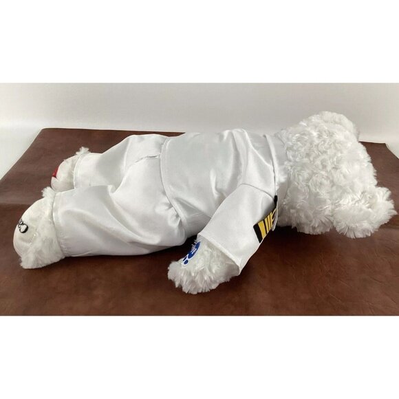 Carnival Cruise Build A Bear 14" Plush Stuffed Teddy Bear with Captains Uniform - Picture 9 of 16